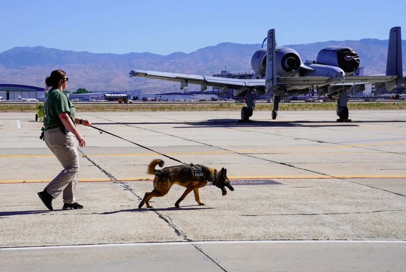 Working dog and handler pass an A-10 Thunderbolt II on the flight line in Boise, Idaho, photo by Rusty Rehl