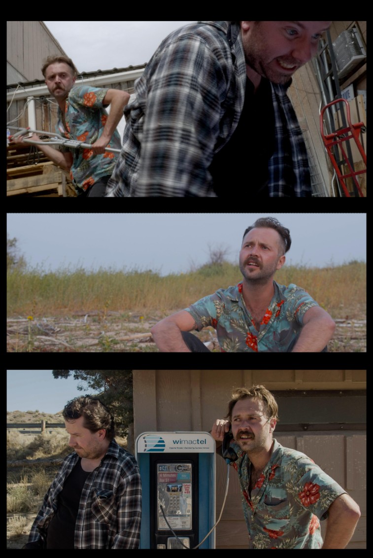 Three stills from Opportunity (2024): two men in a backyard, a man in a Hawaiian shirt in tall grass, and a call from a pay phone